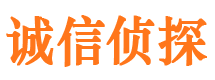 临沧市侦探调查公司